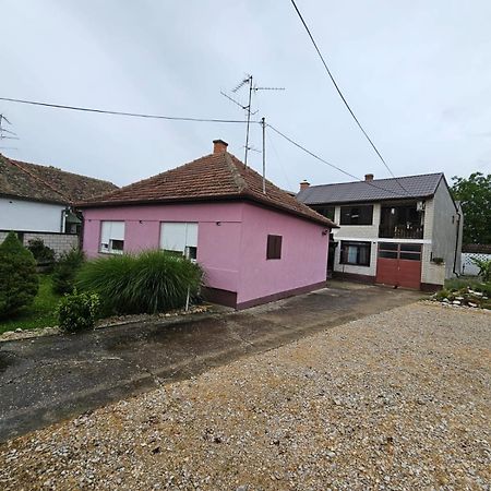 Apartmani, Sobe Ziza Bezdan Exterior foto