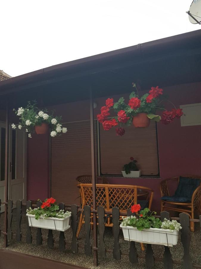 Apartmani, Sobe Ziza Bezdan Exterior foto